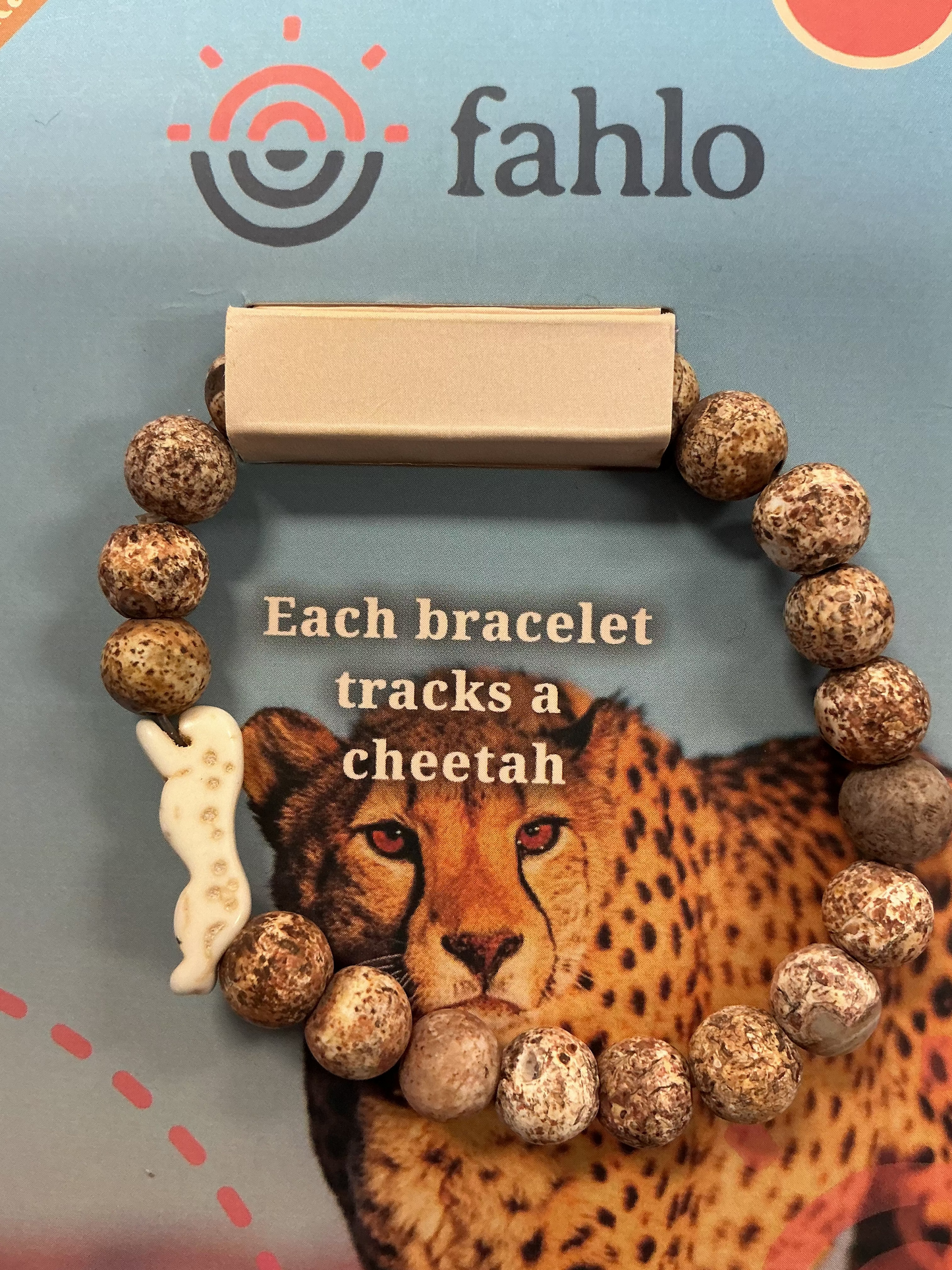 Kalahari Cheetah