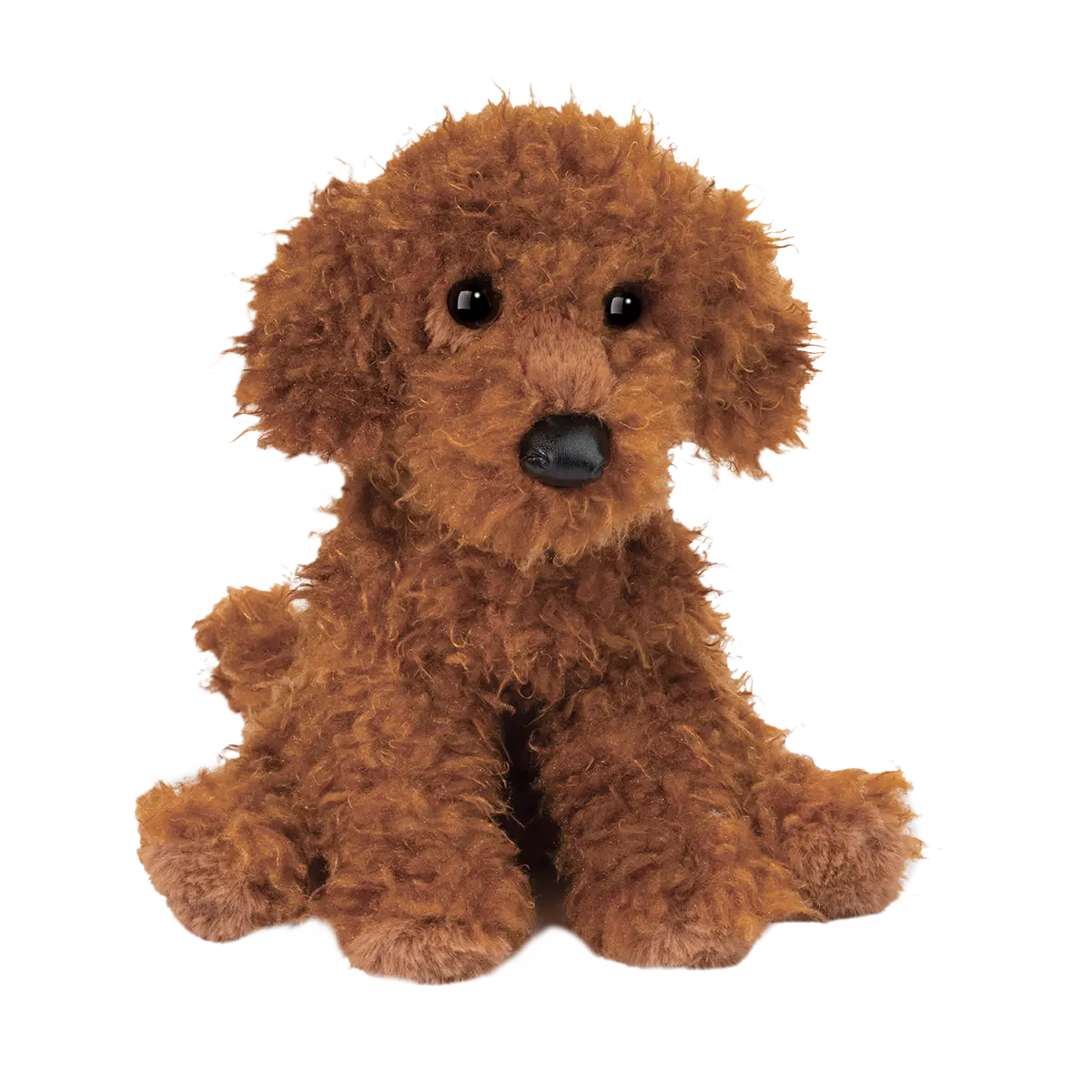 GINGER MINIATURE POODLE