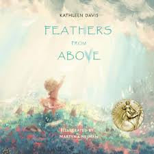 Feathers From Above - Hard Back
