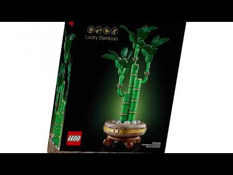 Botanicals 10344