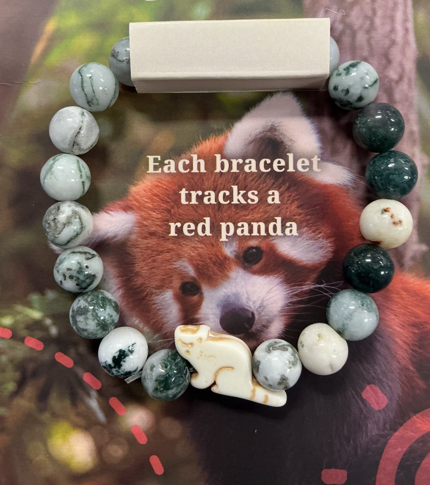 Bamboo Red Panda