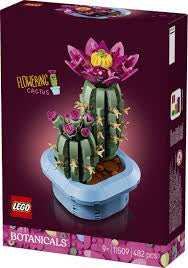 Flowering Cactus