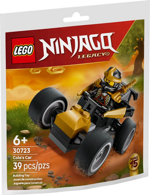 Ninja Cole's Car