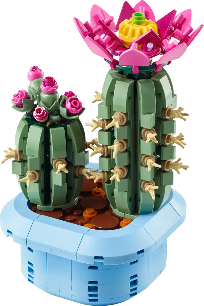 Flowering Cactus
