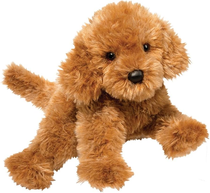 Addie Caram Labdadoodle