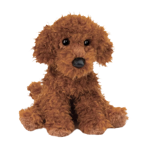 GINGER MINIATURE POODLE