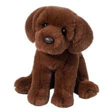 ZOOM CHOCOLATE LAB