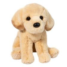 ACE YELLOW LAB