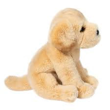 ACE YELLOW LAB