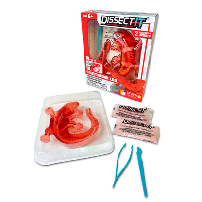 Dissect IT Salamander