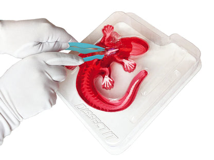 Dissect IT Salamander