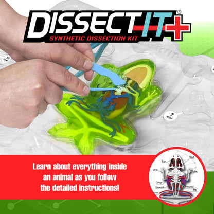 Dissect IT Super Frog Lab