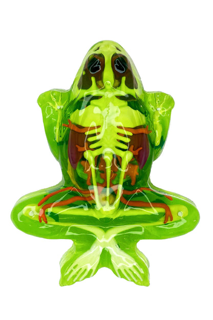 Dissect IT Super Frog Lab