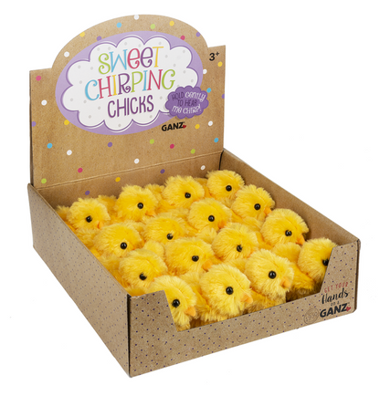 Sweet Chirping Chicks 