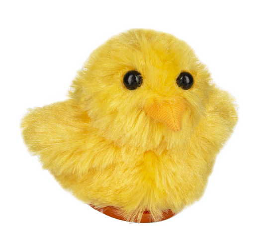 Sweet Chirping Chicks 