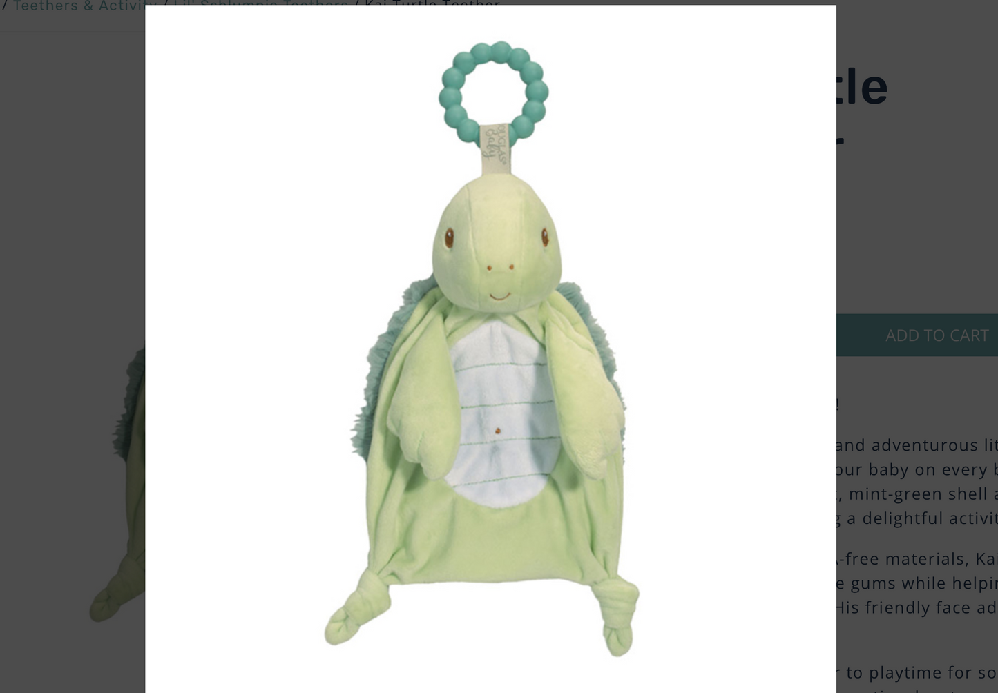 Kai Turtle Teether