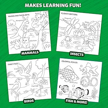 Color & Learn Animals