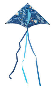 Kite/Shark Reef