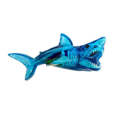 DISSECT-IT: SHARK LAB