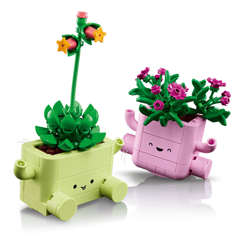 Rocking Plants
