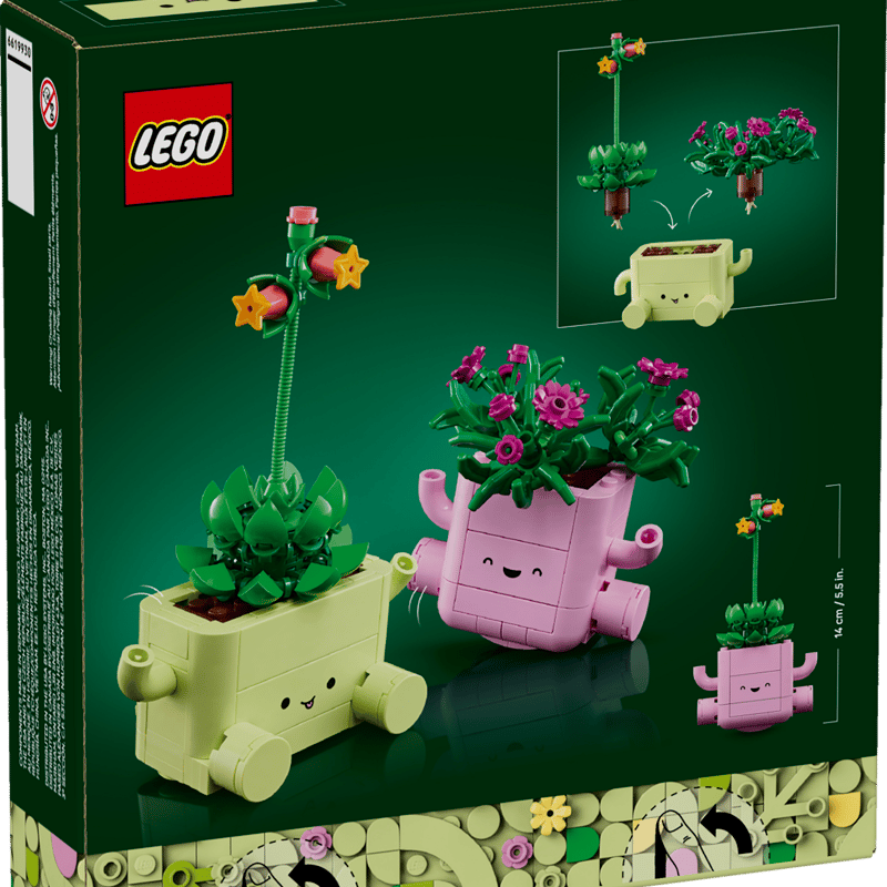 Rocking Plants