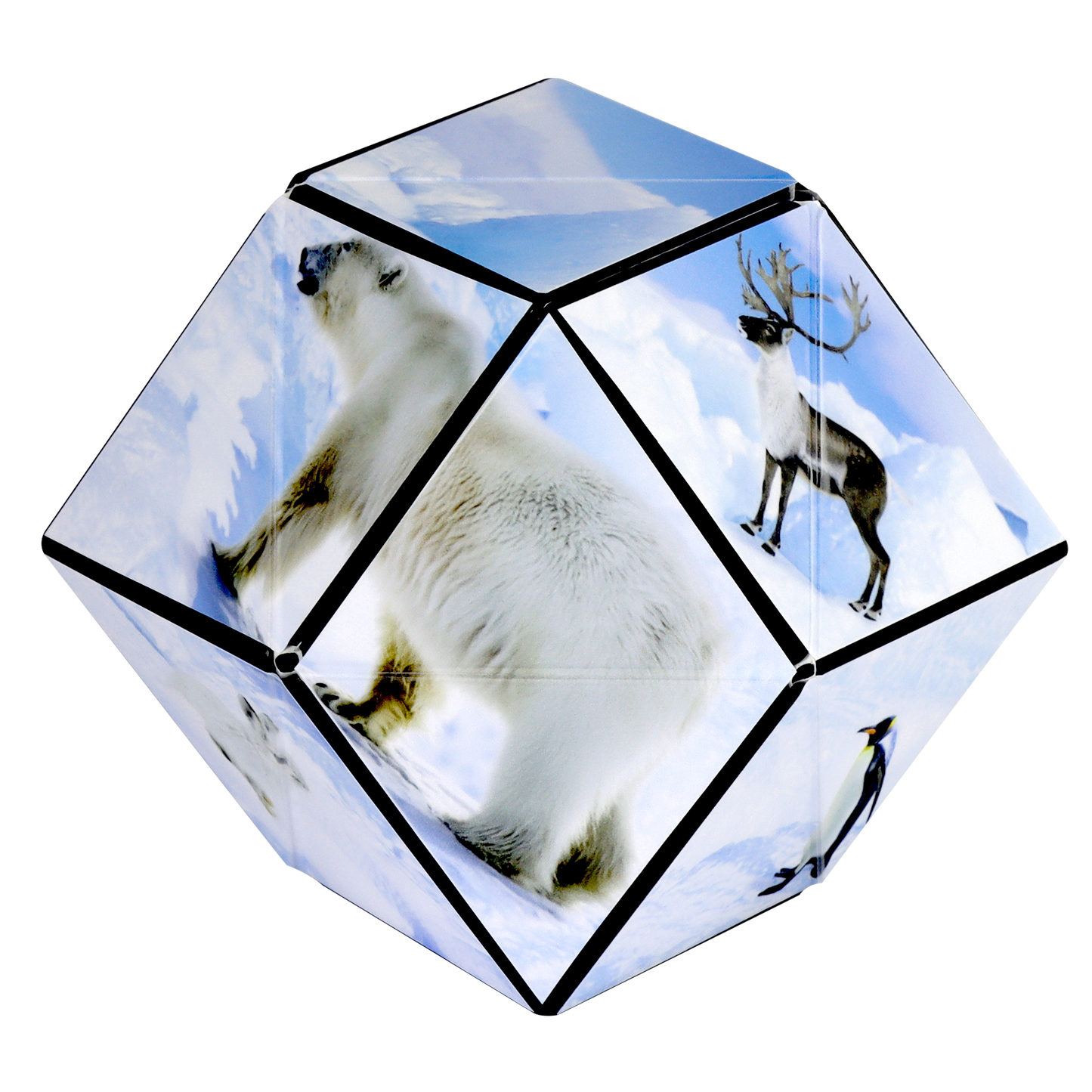 Shasibo Artic