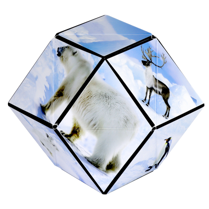 Shasibo Artic