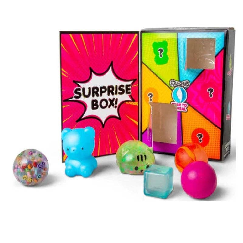 Scrunchems Surprise Box – 6 Compartment Sensory Squishy Toy