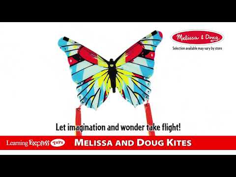 Beautiful Buttrfly Kite