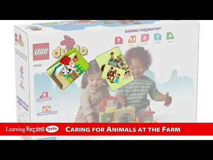 Caring for Animal at Farm