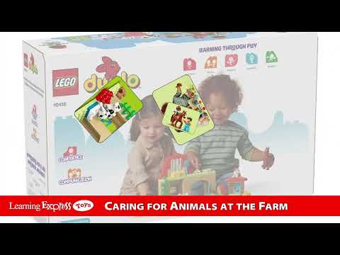 Caring for Animal at Farm