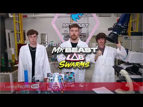 Mr Beast Lab Swarms 5pk