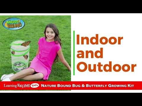 Butterfly Kit Pdq