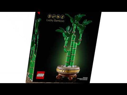 Botanicals 10344