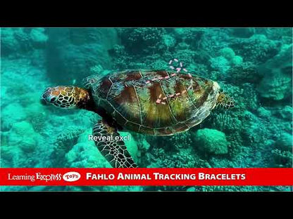 White Howlite Turtle