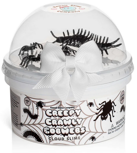 Creepy Crawly Cobwebs