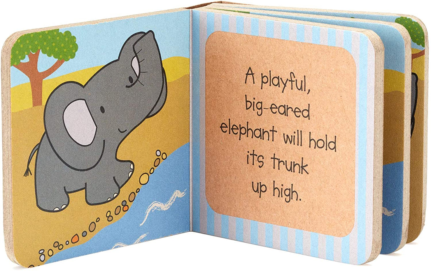 Little Animal Book