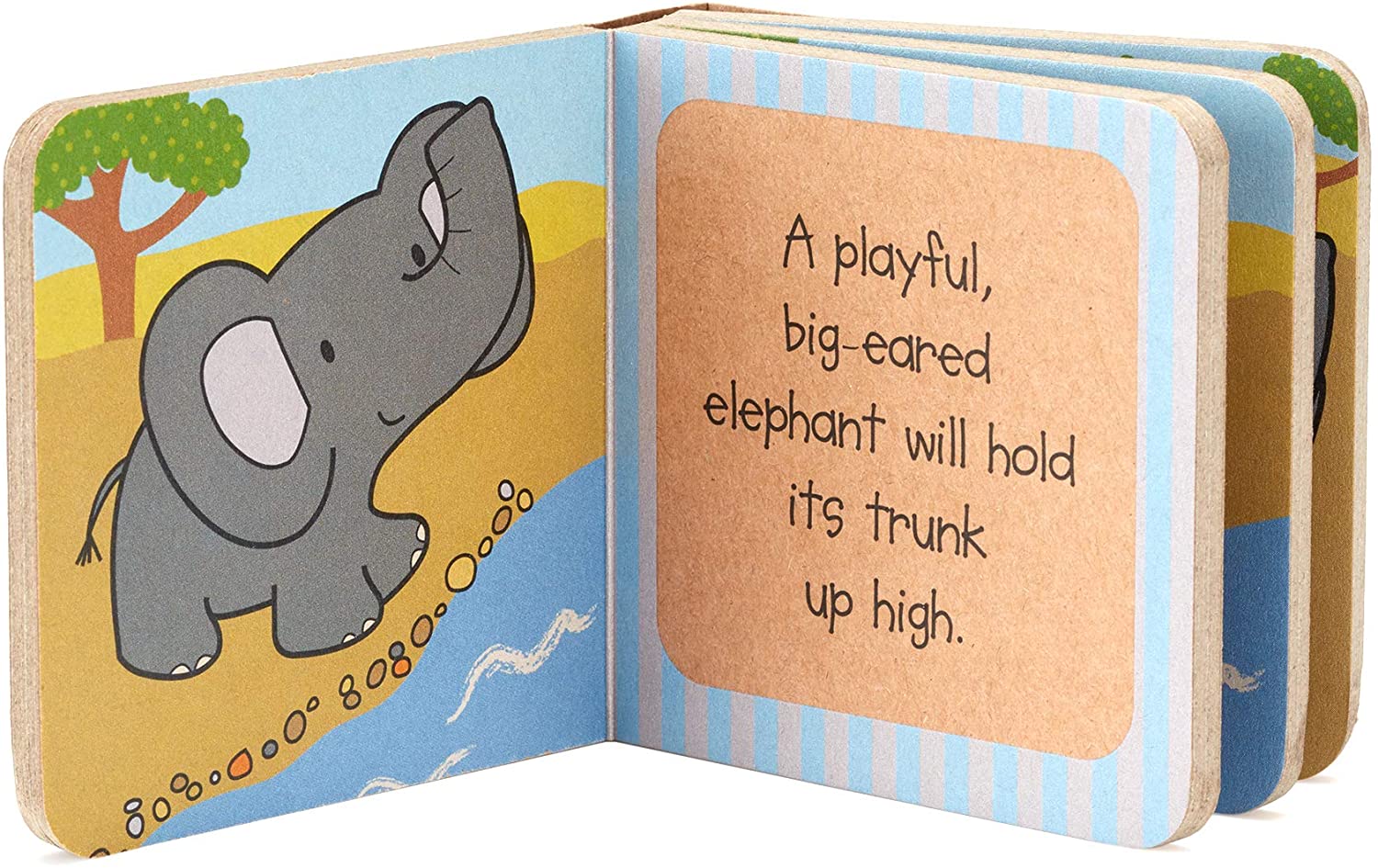 Little Animal Book