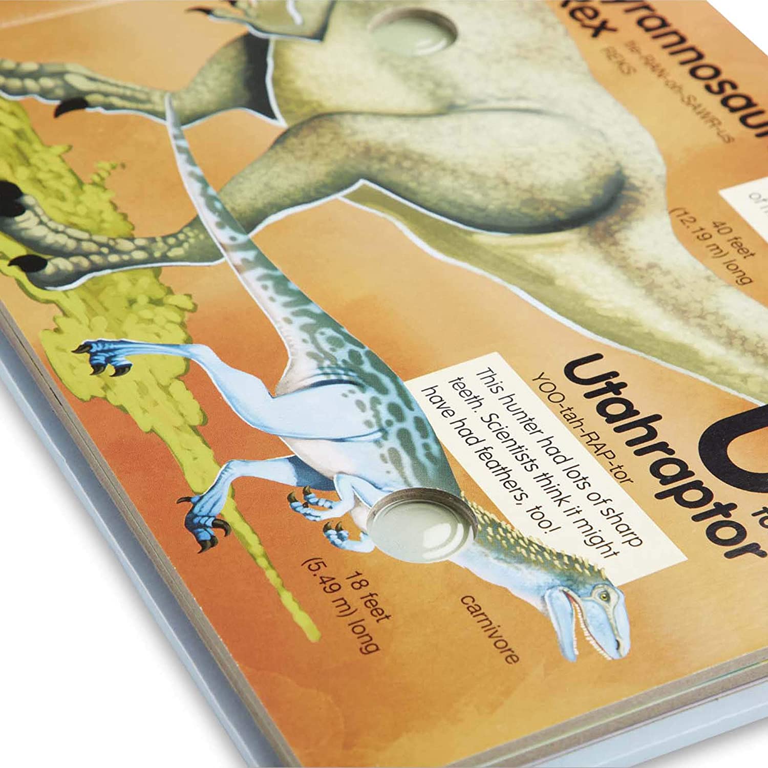 Pokeadot Dinosaur a to Z