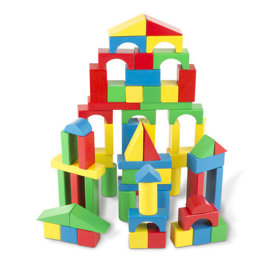 100 Piece Block Set Color