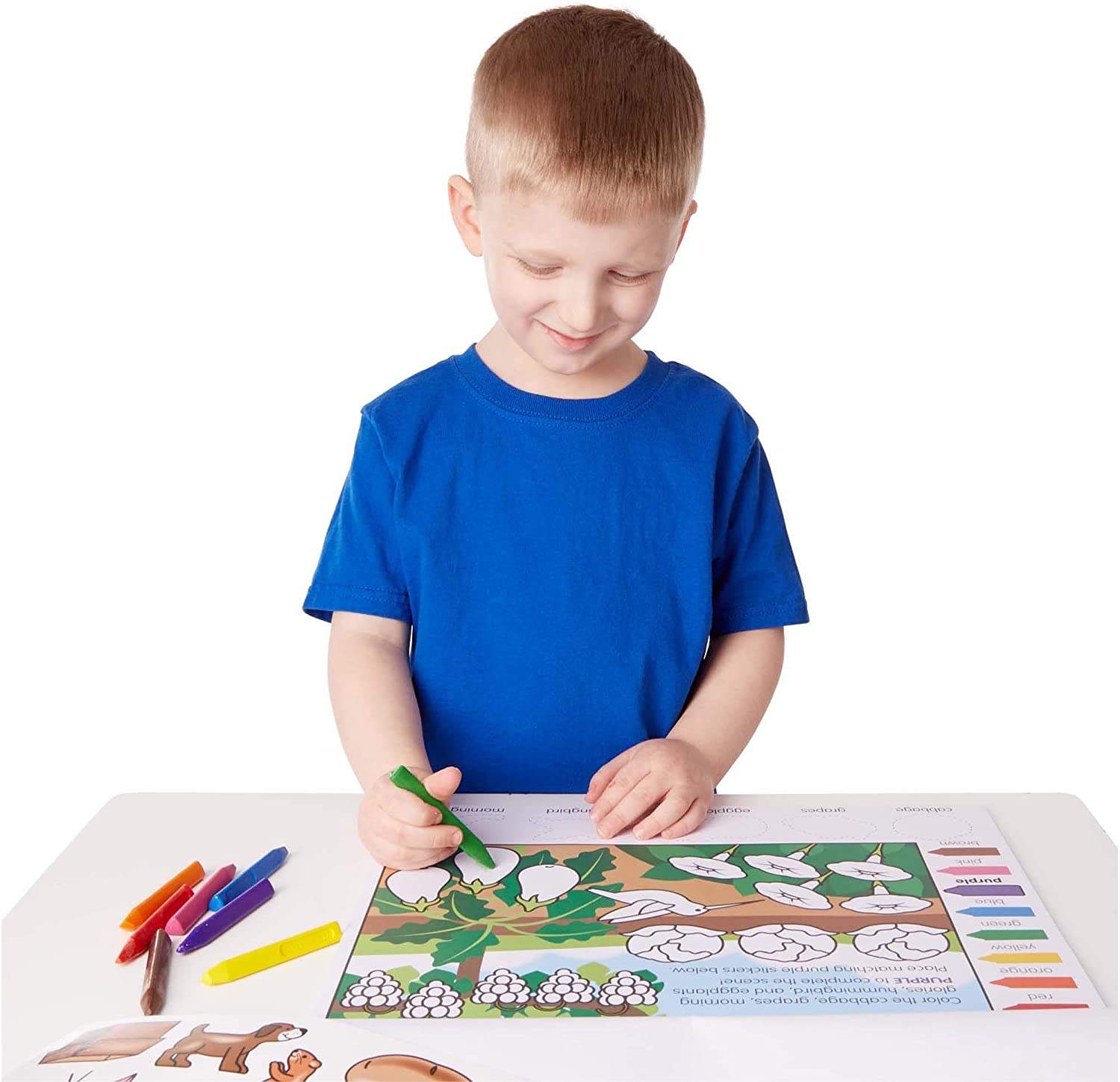 Sticker Pad Color & Shape