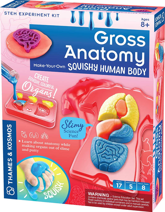 Myo Squishy Human Body