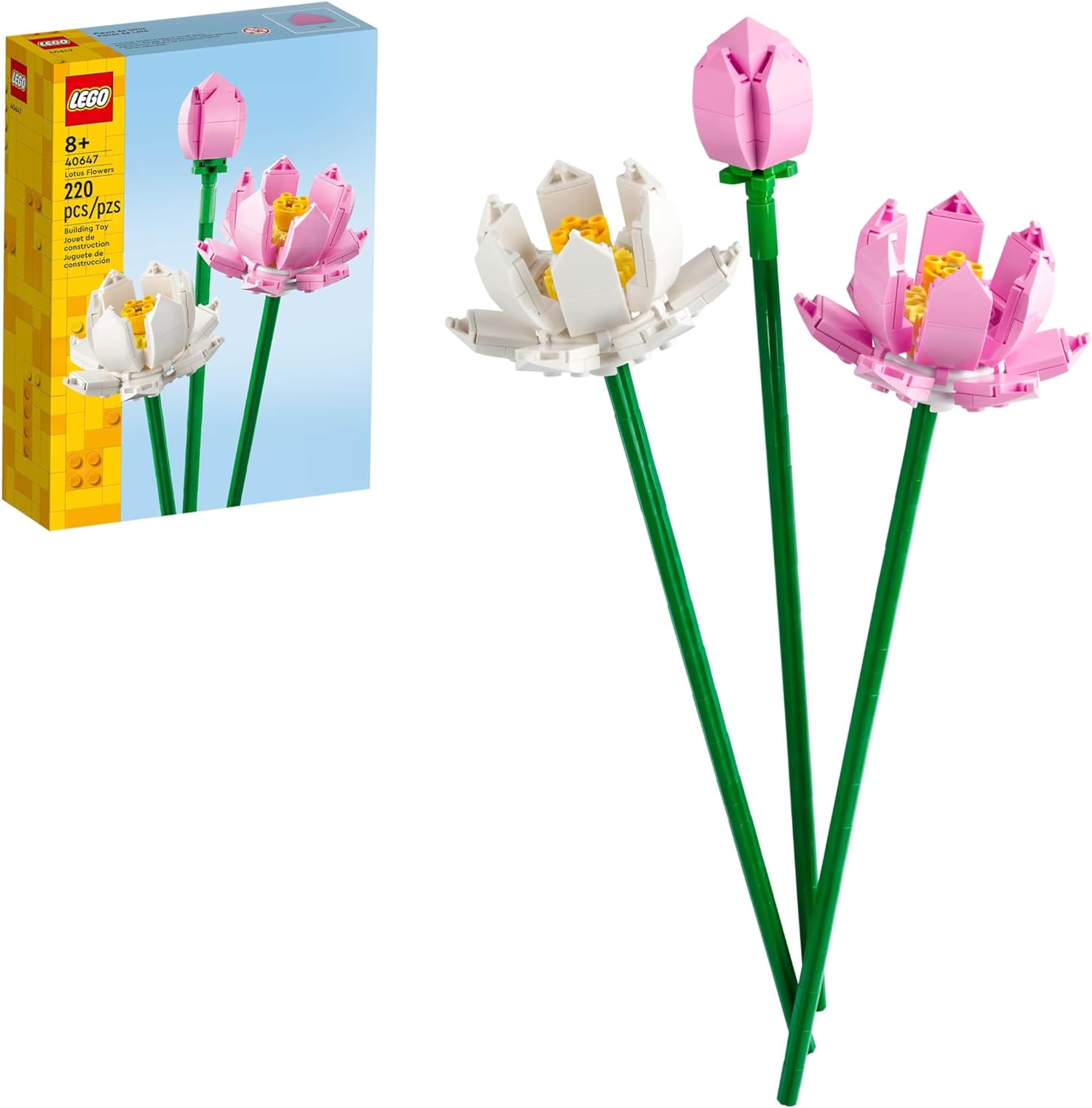 Lotus Flowers V39