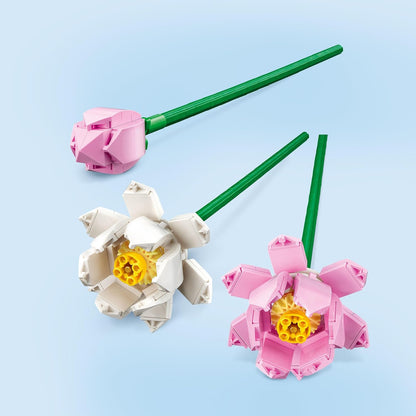 Lotus Flowers V39