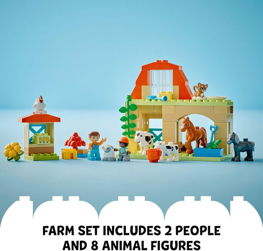 Caring for Animal at Farm