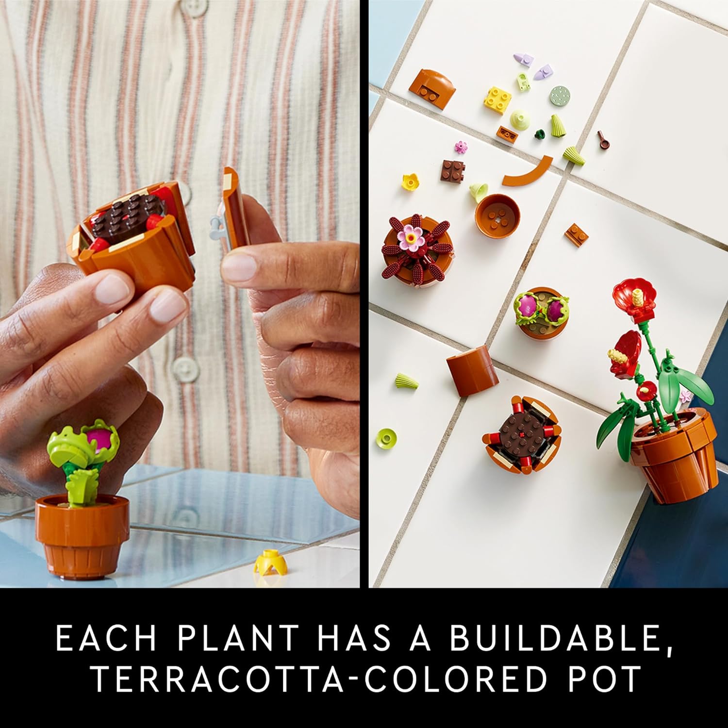Tiny Plants Botanicals