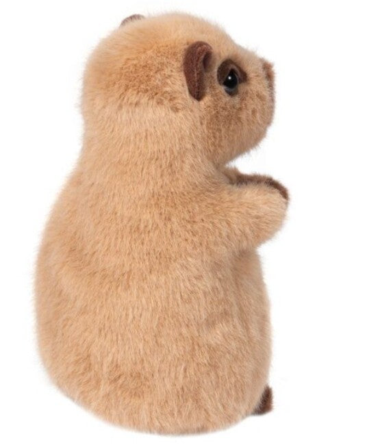 Chattie Capybara 6in
