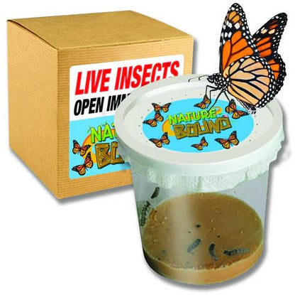 Butterfly Kit Pdq